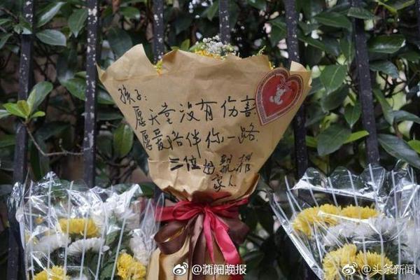 pg网页版